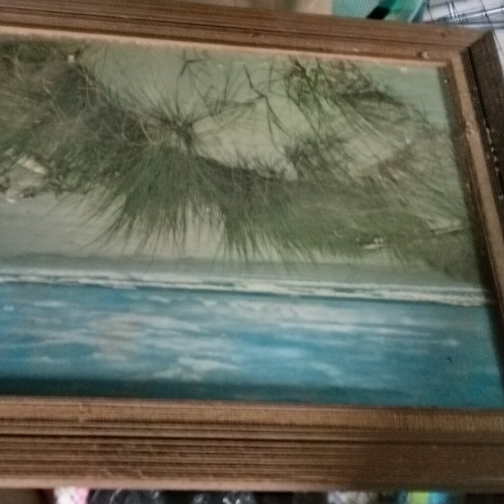 Tw9 framed paintings